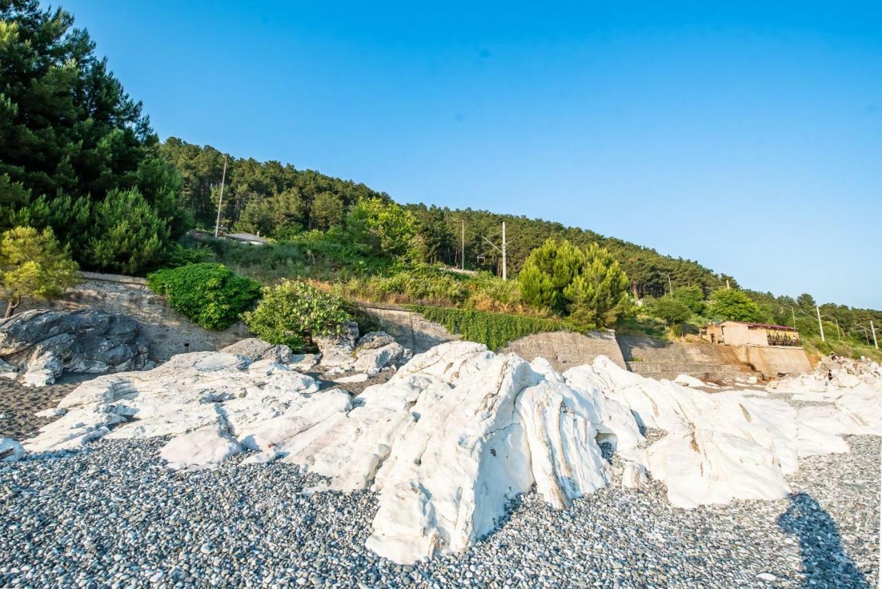 Park-Hotel Abkhazia Tsandrypsh Luaran gambar